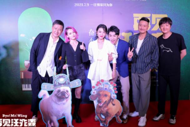 电影《再见汪先森》暖心上映 萧子墨张国强吕晓霖柴碧云西安“省亲”